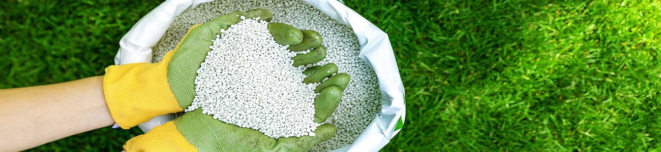 Gazonkalk strooien voor optimale pH-waarde en een sterk, groen gazon